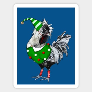 Silver Laced Polish Rooster Dressed As Elf With Leg Warmers Magnet